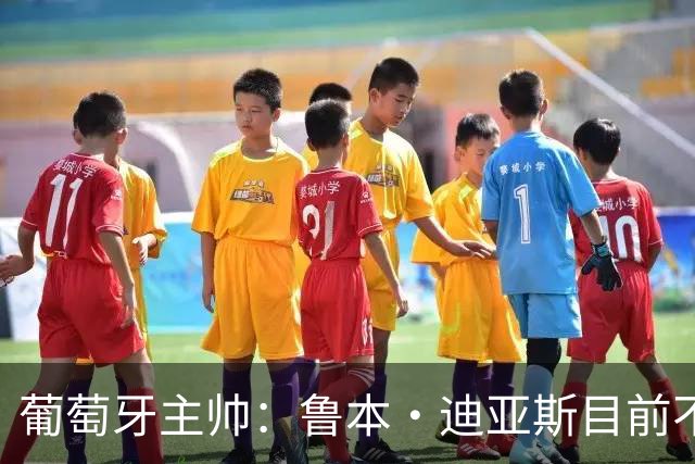 葡萄牙主帅：鲁本·迪亚斯目前不适合比赛 我们会据实际情况轮换